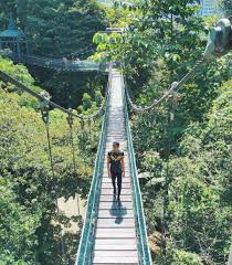 Taman eko rimba kuala lumpur: Harga Tiket Kl Eco Forest Park 2021 Tips Peta Lokasi