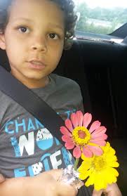 Planting flowers and strawberry seeds with a 10-year-old