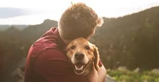 To start, enter your zip code below to confirm that you're in the pals service area. Pet Cremation Warwickshire Kings Hill Cremations