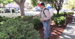 Clark pest control operate from local pest control branches across the uk. Marin County Pest Control Companies Diamond Certified