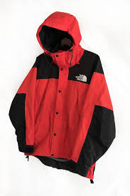 rare vintage 90s the north face mountain guide gore tex