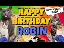 Maybe you would like to learn more about one of these? Happy Birthday Robin Crazy Cats Say Happy Birthday Robin Very Funny Youtube