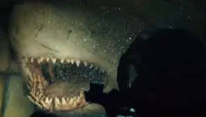 Check spelling or type a new query. Screaming Fish Johannes Roberts Addresses The Inaccuracies Of 47 Meters Down Uncaged Bloody Disgusting
