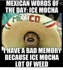 Si senor too am a mexican chihuahua disturbed chihuahua. Mexican Wives Memes