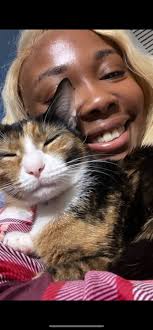 Adoptable Clingy Cats: Froyo & Lychee in Mountain View