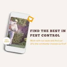 And the great fact is that this pack includes fifteen stakes to ensure that you'll protect each corner of your yard. Ratpack Termite Pest Control Home Facebook