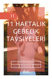 Hafta Hafta Gebelikte 11 Haftalik Gebelik Bilgileri Ve Tavsiyeleri 11 Haftalik Gebelik Hamilelik Bilgi