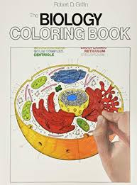 Color your way to a complete mastery of veterinary anatomy with veterinary anatomy coloring book, 2nd edition. Veterinary Anatomy Coloring Book 2e 9781455776849 Medicine Health Science Books Amazon Com