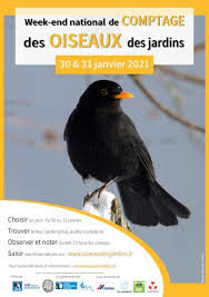 Notre collection couverts de 2021 est en solde. Toutes Les Nouvelles Www Oiseauxdesjardins Fr