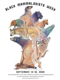 Image result for tbn:HAJQPRlydFYgGM::www.bildeforbilde.no/images/20_fauna/800_dompapp.jpg