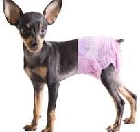 OEM ODM Custom Disposable Dog Diaper Wholesale Bamboo Pet Female Dog Diapers