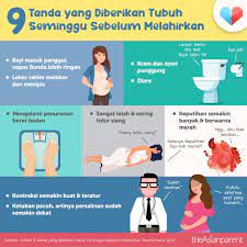 Ada beberapa tanda yang menandakan waktu melahirkan akan tiba. Pin Di Infographic