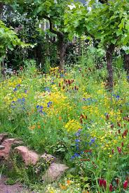 At artranked.com find thousands of paintings categorized into thousands of categories. Pin By Gabriela Ferreira On Gabby S Garden Flower Stock Photography Edible Forest Garden Fruit Tree Garden