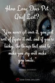 Pin On Pet Loss Quotes