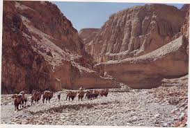 HJ/51/13 MERCHANTS AND MOUNTAINS