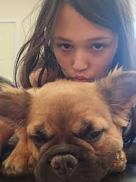 Mesa county lost and found pets