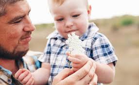 Christmas and the recently bereaved