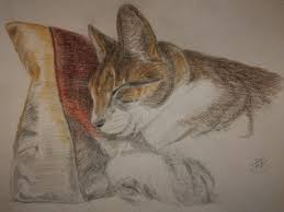 Coloring page outline of cartoon cat with soccer cup and ball. I Dream Of Colour A Little Colour Shade Experiment Of My Cat Doing His Second Favourite Thing Ever Drawing