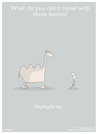 October 19, 2020 at 1:25 pm. Pin On Hump