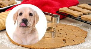 Is your dog more sluggish than usual? Homemade Dog Treats Easy Recipes You Can Make At Home The Labrador Site