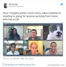 You might feel alone , but there are so many ways to connect now online and enjoy some company for a while. 35 Best Posts About The Everyday Realities Of Zoom Meetings Bored Panda