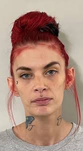 Offender Information