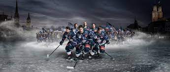 Let us help you reach your goals, whether they be fun, wellness or performance. Zsc Lions Linkedin