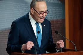 When stacey abrams delivered the news to chuck schumer that she would not run for the senate, she touted someone else who was decidedly not a household name in national democratic circles. Read Chuck Schumer S Statement To The Senate On The Storming Of The Capitol Elections Us News