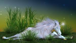 Unicorn hd photo or unicorn wallpapers 3d picture for your phone or tablet! Unicorn Wallpapers 1920x1080 Full Hd 1080p Desktop Backgrounds