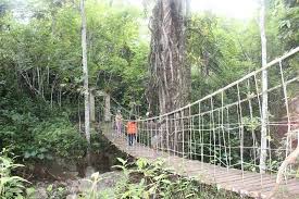 Image result for eden nature park davao