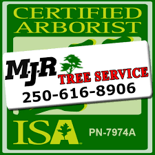 Folge deiner leidenschaft bei ebay! Mjr Tree Service Isa Arborists Dangerous Tree Removal