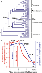 Just minutes from camel back park and hyde park restaurants and shopping, and 30 minutes to bogus basin ski hill. Resurrected Ancestral Proteins As Scaffolds For Protein Engineering Springerlink