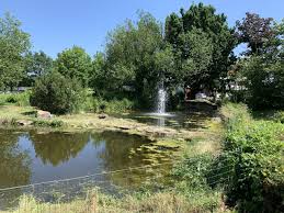 Öffnungszeiten garten eden in ratingen. Hochzeitslocation Koln Location Hochzeit Koln Garten Eden Industrial