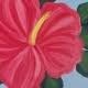 Full Bloom: June 23rd