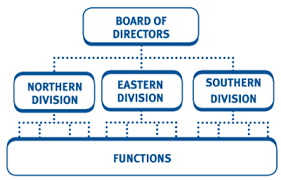 Divisional Structures