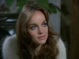 Review of the 1980 pilot