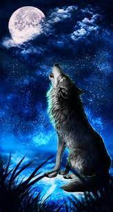 Tons of awesome cool wolf backgrounds to download for free. 9 Wolf Hintergrundbild Ideen Wolf Hintergrundbild Wolfskunst Wolfe Kunst