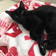 Danielle Seaman and Randy Bolick's Wedding Registry