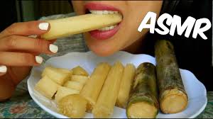 Maybe you would like to learn more about one of these? Asmr Sugarcane Crunchy And Juicy Eating Sounds Sas Asmr Youtube