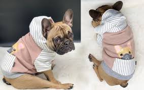 See more of french bulldog in india on facebook. Frenchiestore