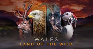 The countryside is characterized by mountain ranges, wide river valleys, attractive coastline and ancient castles. Wales Der Wilde Westen Grossbritanniens Fernsehserien De