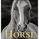 The Horse - Large Print By Jacqueline Melgren (hardcover) : Target