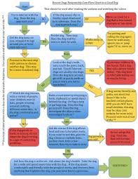 Flow Chart To A Good Dog Rescue Dogs Responsibly