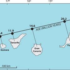 Image result for Diaphananthe lebelii