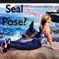 Seal Pose Or Upward Facing Dog Upward Facing Dog Poses Seal
