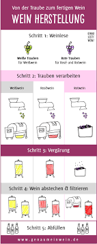 Weinherstellung Von Der Traube Bis Zum Fertigen Wein Wein Weinherstellung Trauben