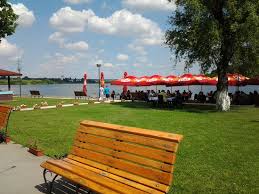 Cea mai cunoscută dintre acestea este bălăceanca, unde. On The Lake Near Bucharest Review Of Phoenix Cernica Club Cernica Romania Tripadvisor