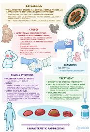 Image result for Monkeypox