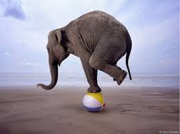 Finding Balance Life Balance Quotes Elephant Balance Quotes