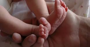 Population au 1ᵉʳ janvier, nombre de naissances, de décès et de mariages (les données france métropolitaine sont disponibles sur une période plus longue ; Ectopie Testiculaire Traitement Et Impact Sur La Fertilite Magicmaman Com